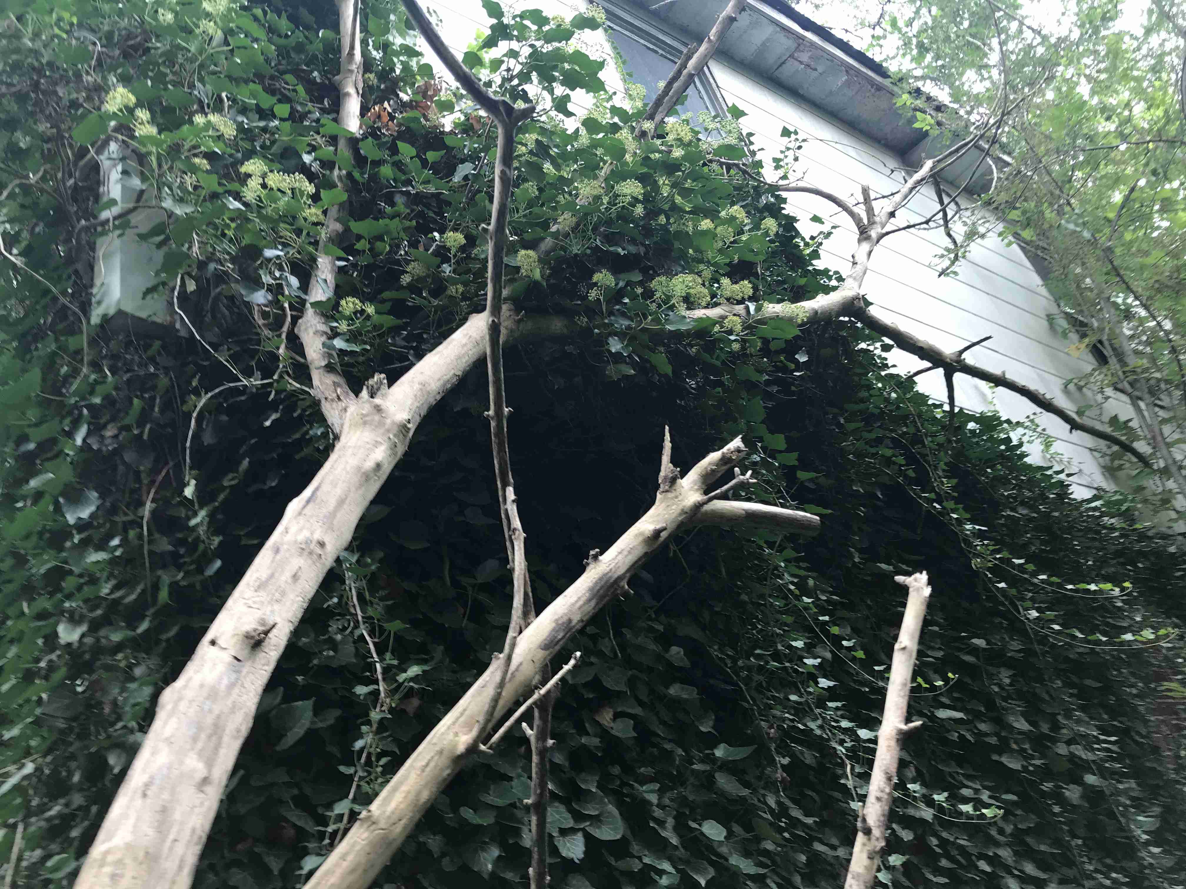 Photo Sep 10, 2 44 56 PM.jpg